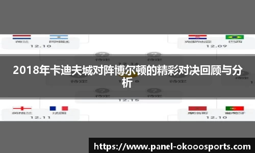 2018年卡迪夫城对阵博尔顿的精彩对决回顾与分析